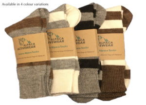 Superior Striped Every Day Sock - Image 2