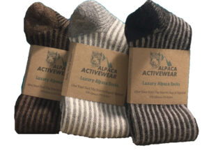Funky Vertical Stripe Sock - Image 2